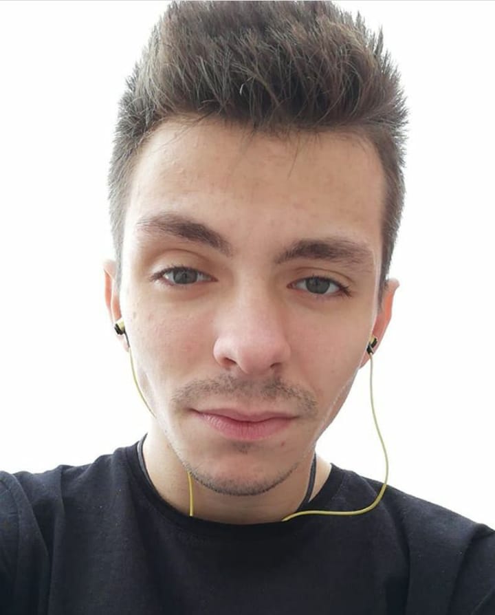 STEFAN ZDRAVKOVI visual data 5